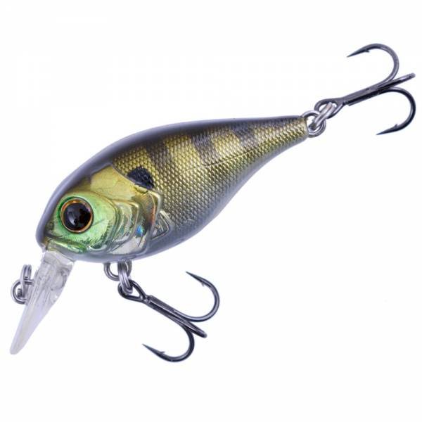 04 BLUE GILL