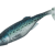 022-FAT LIVE MACKEREL